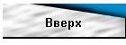 Вверх